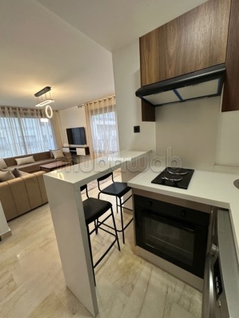 location-dun-appartement-a-bourgogne-ouest-1-chambre-parking-et-ascenseur-big-9