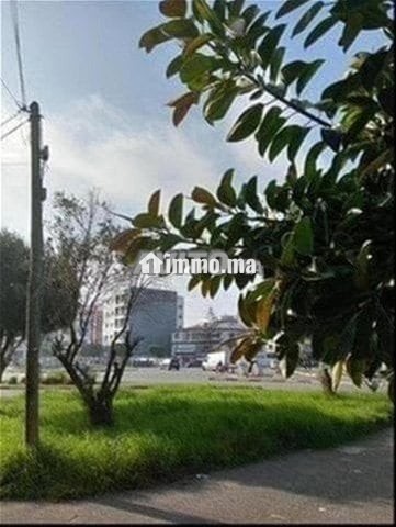 Haut standing Couple ou Filles Célibataires - Location Immobilier - Casablanca - photo 3