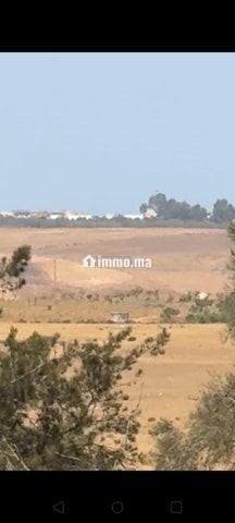 À Vendre Fermette de caractère environs d'Asilah - Vente Immobilier - Tanger - photo 8