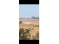 a-vendre-fermette-de-caractere-environs-dasilah-small-7