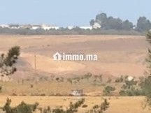 À Vendre Fermette de caractère environs d'Asilah - Terrain à vendre - Tanger