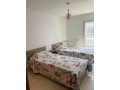 superbe-appartement-a-louer-a-belvedere-2-pieces-bien-meuble-small-6