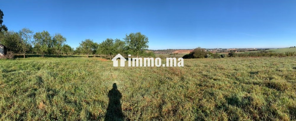 Terrain Ferme à vendre Commune Oum Azza - Vente Immobilier - Autre - photo 4