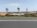 terrain-ferme-a-vendre-commune-oum-azza-small-0