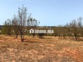 terrain-ferme-a-vendre-commune-oum-azza-small-1