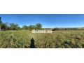 terrain-ferme-a-vendre-commune-oum-azza-small-3