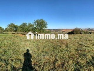 Terrain Ferme à vendre Commune Oum Azza - Terrain à vendre - Autre