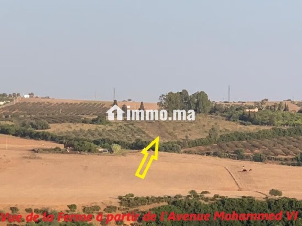 terrain-ferme-a-vendre-commune-oum-azza-big-2