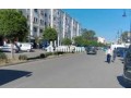 mhl-tgary-llbyaa-small-0