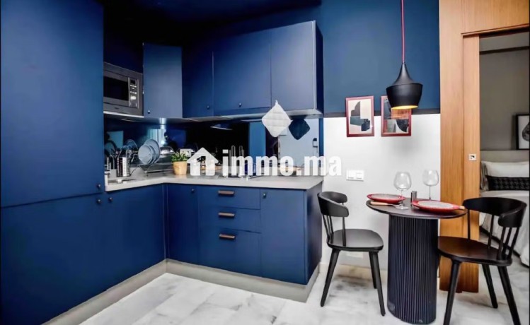 superbe-studio-au-coeur-de-la-ville-big-3