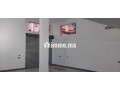 mhl-tgary-llbyaa-small-6