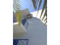 location-villa-rabat-agdal-small-13