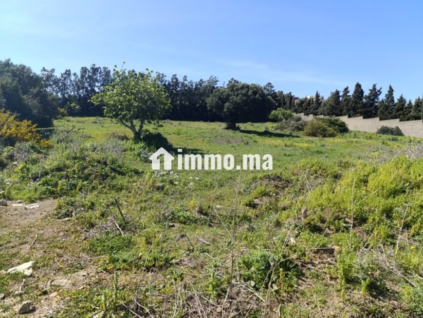 Terrain titré à vendre tanger - Vente Immobilier - Tanger - photo 6