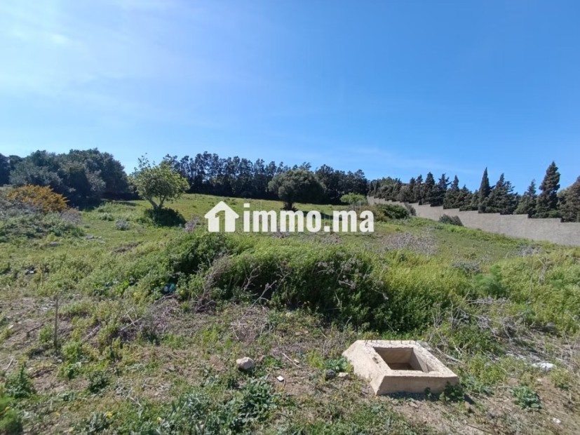 Terrain titré à vendre tanger - Vente Immobilier - Tanger - photo 7
