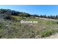terrain-titre-a-vendre-tanger-small-13