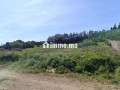 terrain-titre-a-vendre-tanger-small-14