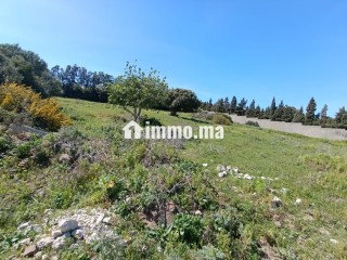 Terrain titré à vendre tanger - Villa à vendre - Tanger