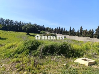 Terrain titré à vendre tanger - Villa à vendre - Tanger