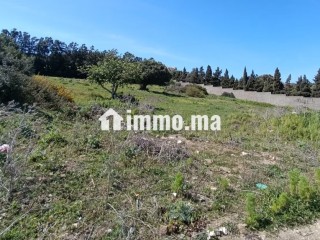 Terrain titré à vendre tanger - Villa à vendre - Tanger