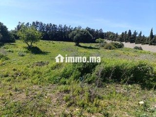 Terrain titré à vendre tanger - Villa à vendre - Tanger