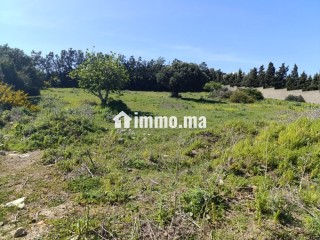 Terrain titré à vendre tanger - Villa à vendre - Tanger