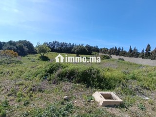 Terrain titré à vendre tanger - Villa à vendre - Tanger