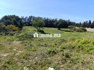 Terrain titré à vendre tanger - Villa à vendre - Tanger