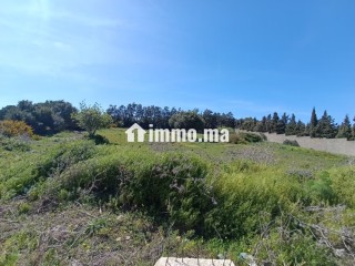 Terrain titré à vendre tanger - Villa à vendre - Tanger