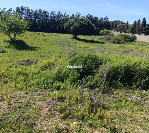 terrain-titre-a-vendre-tanger-big-0
