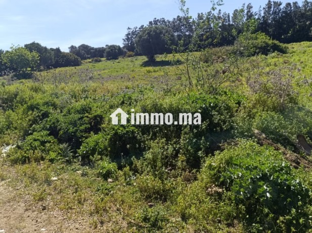 terrain-titre-a-vendre-tanger-big-9