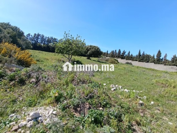 terrain-titre-a-vendre-tanger-big-10