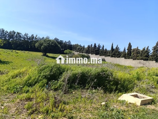 terrain-titre-a-vendre-tanger-big-11