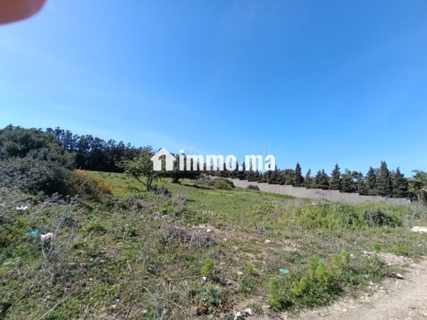 terrain-titre-a-vendre-tanger-big-12