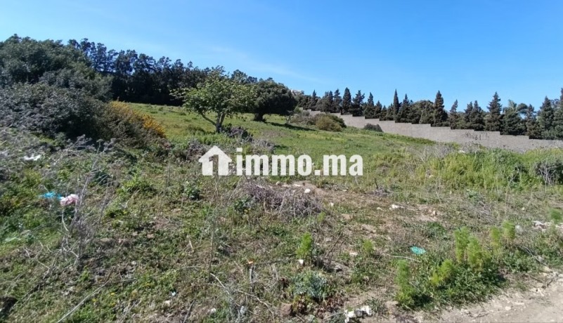 terrain-titre-a-vendre-tanger-big-13