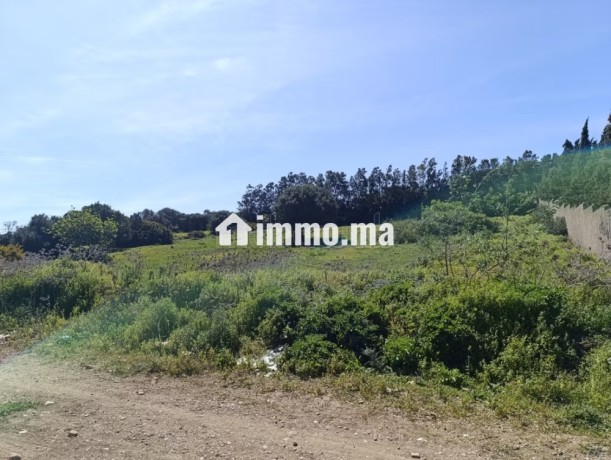 terrain-titre-a-vendre-tanger-big-14