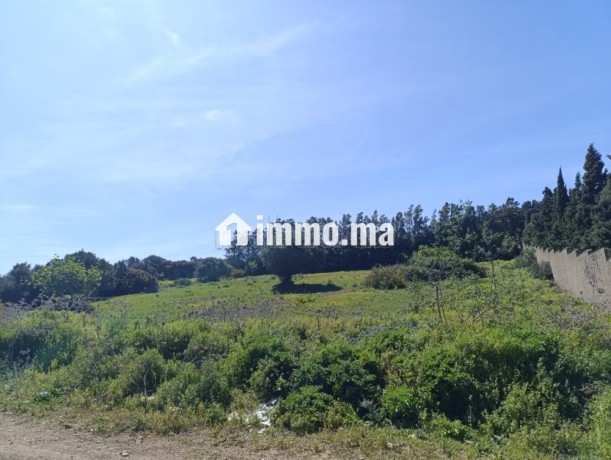 terrain-titre-a-vendre-tanger-big-15
