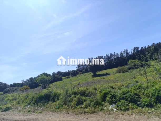 terrain-titre-a-vendre-tanger-big-16