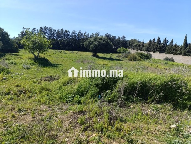 terrain-titre-a-vendre-tanger-big-1