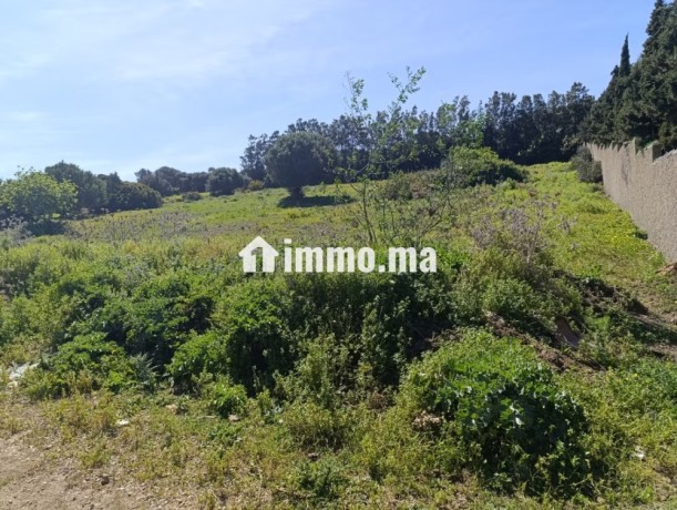 terrain-titre-a-vendre-tanger-big-4