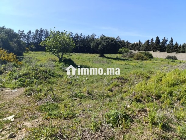 terrain-titre-a-vendre-tanger-big-5