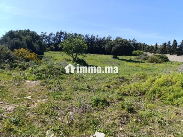 terrain-titre-a-vendre-tanger-big-7