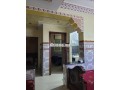 colocations-small-5