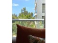 palm-suite-small-9