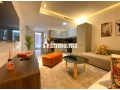 palm-suite-small-5