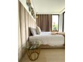 palm-suite-small-8