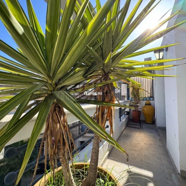 Coup de Coeur SB Brokers Duplex meublé - Location Immobilier - Casablanca - photo 4