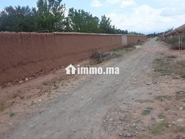 Un terrain de 3 hectares - Vente Immobilier - Marrakech - photo 1