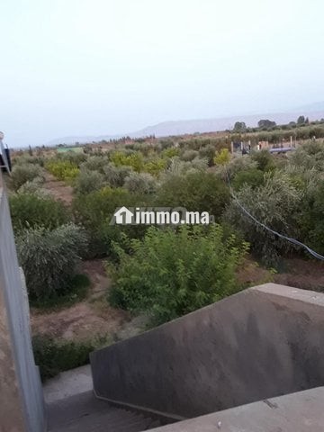 Un terrain de 3 hectares - Vente Immobilier - Marrakech - photo 7