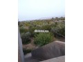 un-terrain-de-3-hectares-small-6