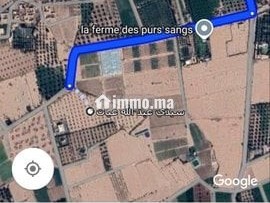 Un terrain de 3 hectares - Terrain à vendre - Marrakech